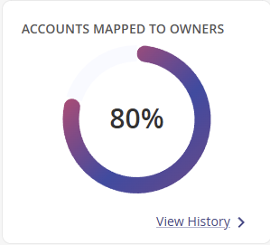 Accounts Mapped to Owners widget